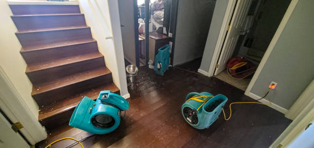 Best Mold removal after water damage  in Hillsbo, OR