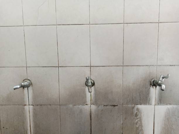 Best Water damage cleanup near me  in Hillsbo, OR